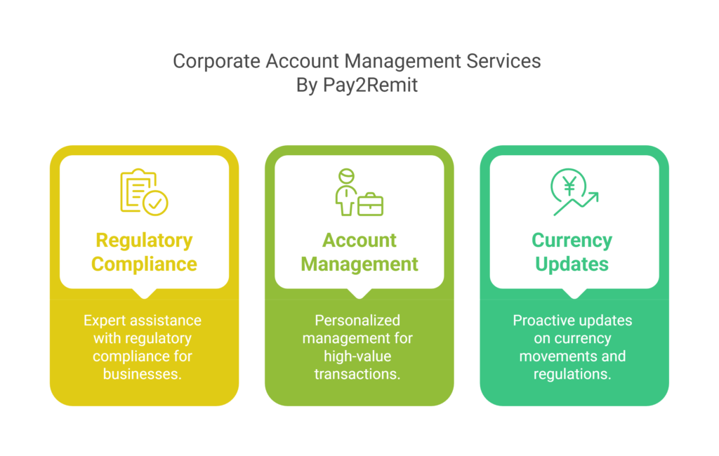 How Corporates Can Benefit from Pay2Remits Services A Comprehensive Guide visual selection 5